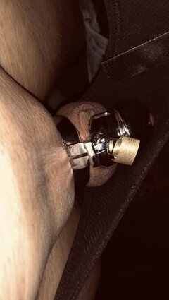 IMG_5427.jpeg