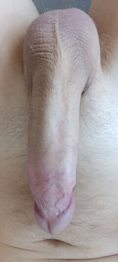 IMG_20260423_183627.jpg