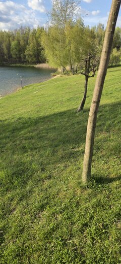 20260423_174541.jpg