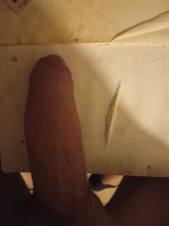 IMG-20260419-WA0007.jpeg
