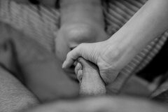 8aca1a04-a168-4ebc-9914-07ba25566de2 2.jpg