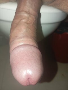 20260403_023058.jpg