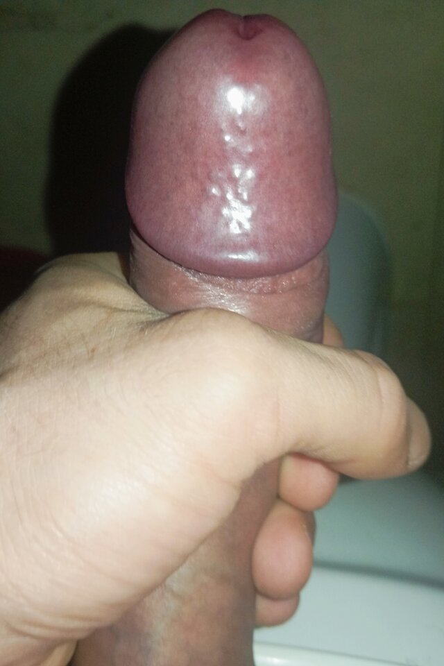Alpo4ino