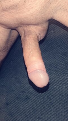 IMG_20250628_172805.jpg