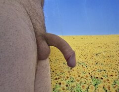 9399.jpg