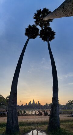 IMG_6245.jpeg