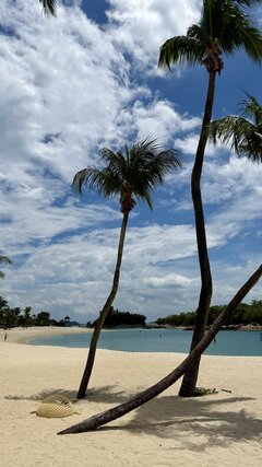 IMG_1436.jpeg