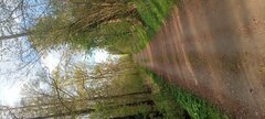 IMG_20260421_175541.jpg