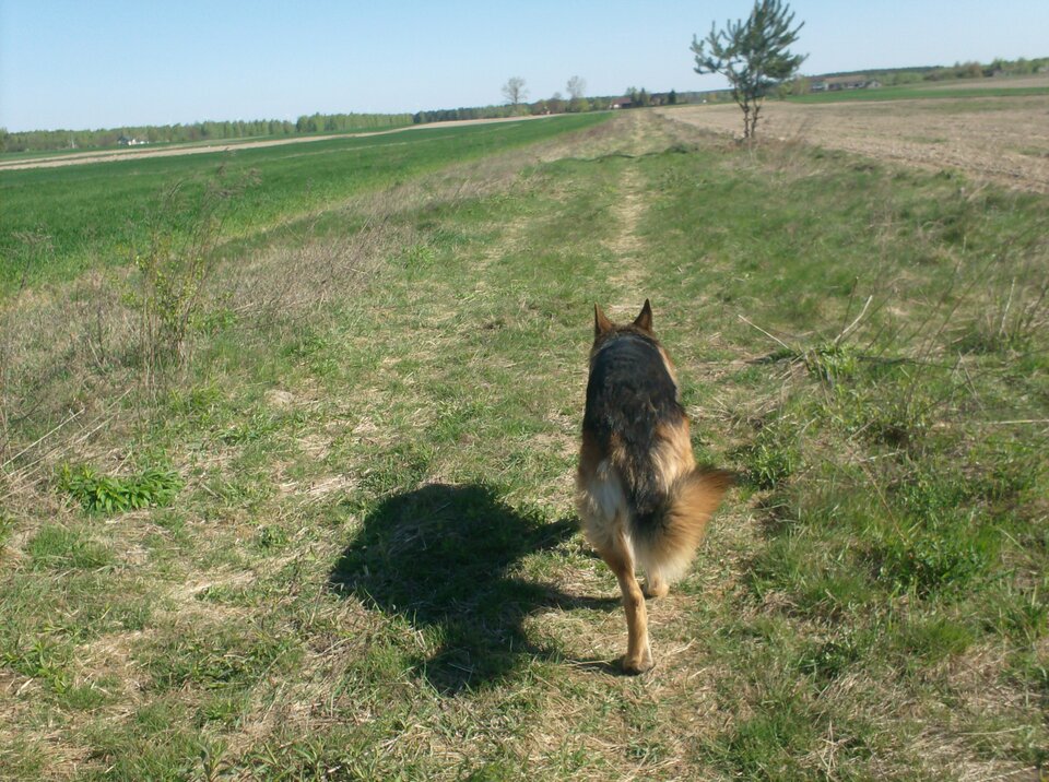 HPIM2603.JPG - Zenek1956