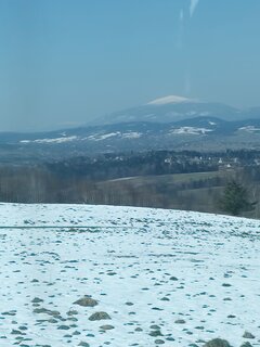 IMG_20260403_111809491.jpg