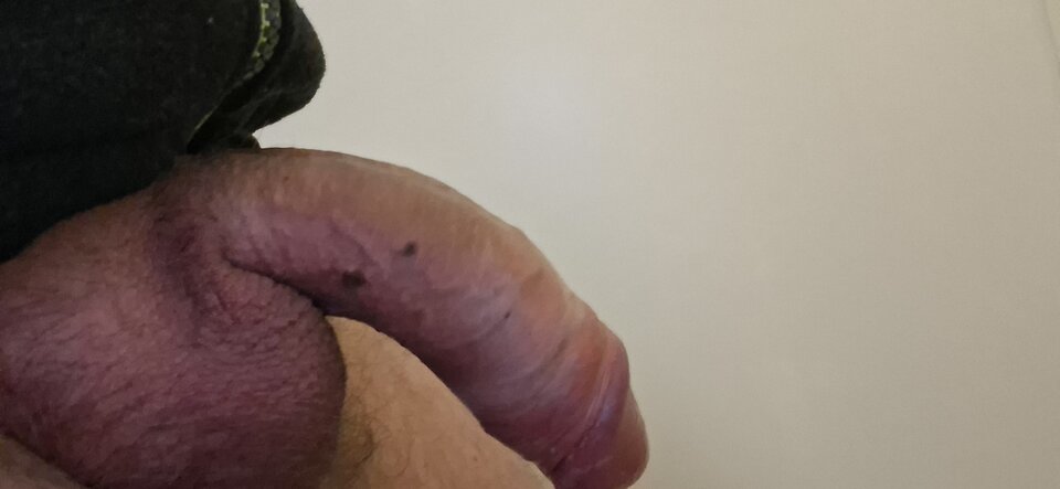 1044.jpg - Penisek8892