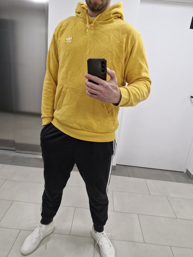 Rafaellini