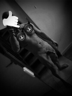 IMG_0966.jpeg