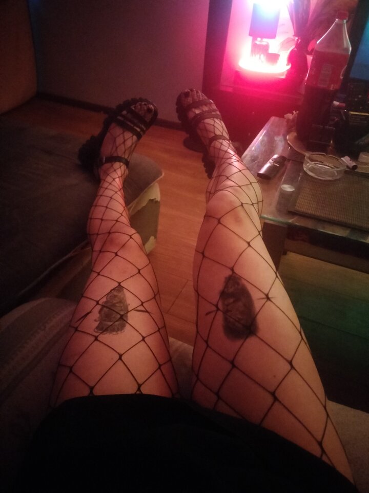 1000017959.jpg - TransKitty