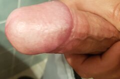 1562.jpg