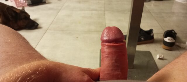 xPatryk91