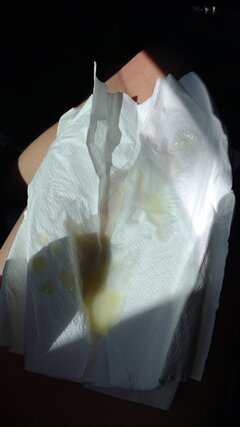 IMG_20260430_130914275.jpg