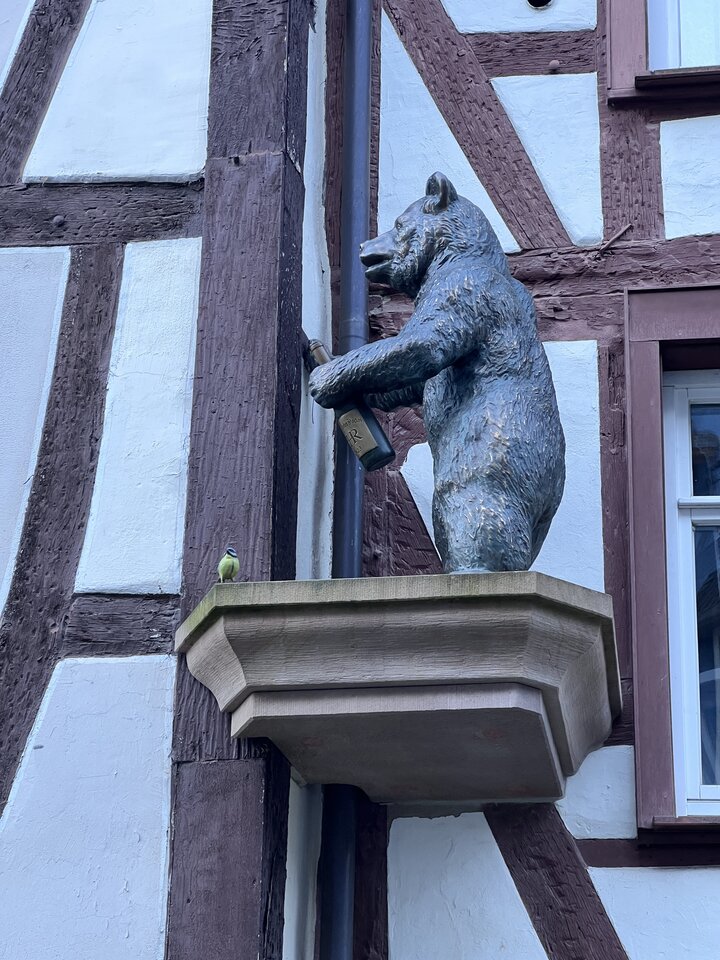 IMG_6621.jpeg - nrw670n