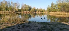 IMG_20260502_185218.jpg