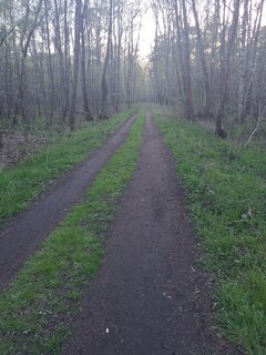 20260503_192403.jpg
