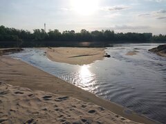 20260505_065336.jpg