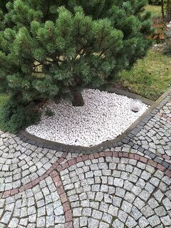IMG20251011161749.jpg