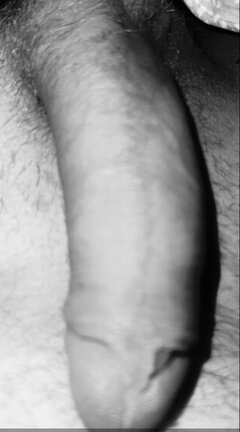 IMG_1145.jpeg