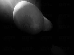 IMG_8153.jpeg