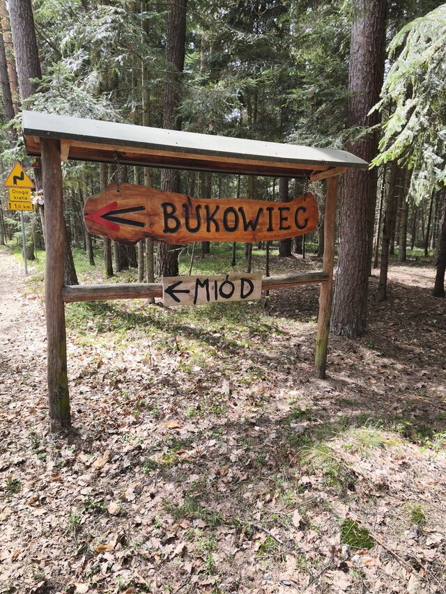 Zwyczajny5