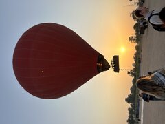 IMG_3556.jpeg