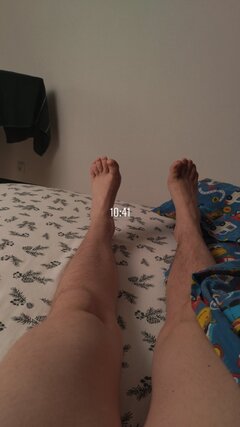 Nogy