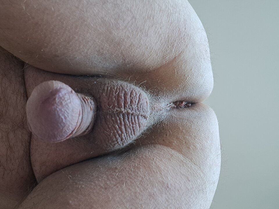 20260510_081100.jpg - Nigell