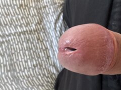IMG_8532.jpeg