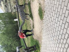 IMG_0061.jpeg