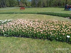 IMG_20260428_123922_517.jpg