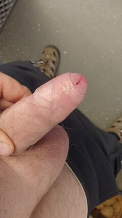 IMG-20260511-WA0011.jpeg