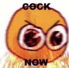 1000049258.jpg