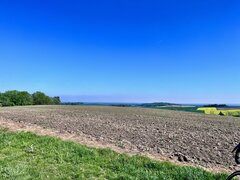 IMG_4490.jpeg