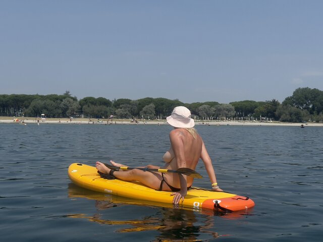 dolata11