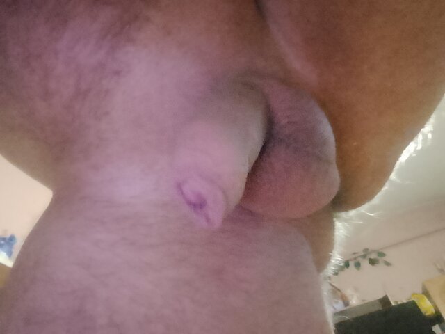 PorobieniWroxxx