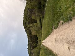 IMG_2121.jpeg
