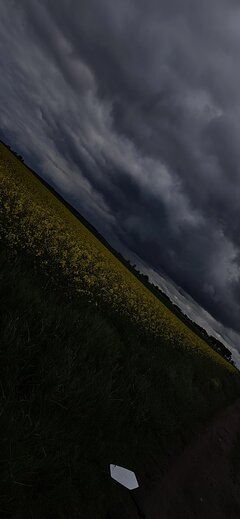 3964.jpg