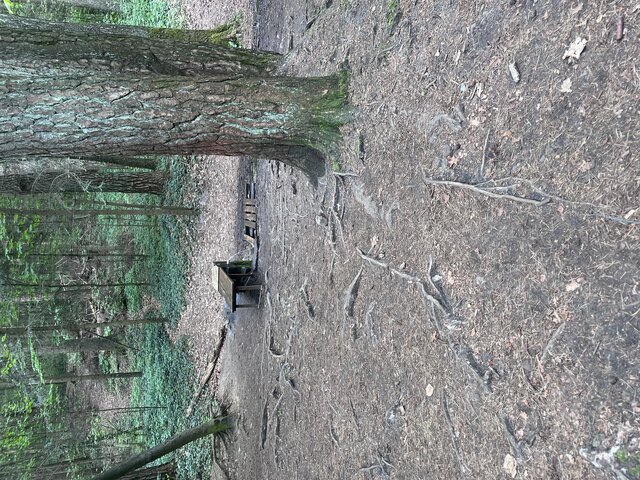Kowalxx