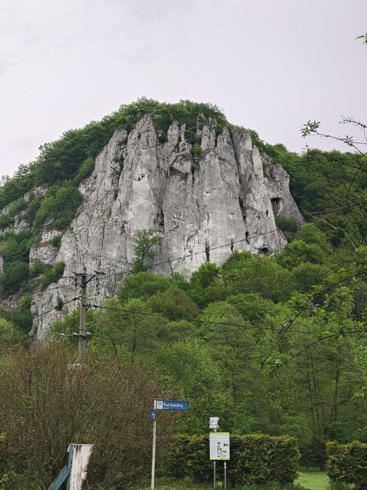 1000066372.jpg - raf2407