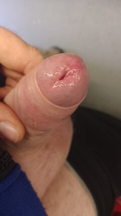 IMG-20260515-WA0004.jpeg
