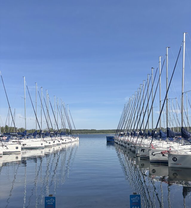MagdMar7