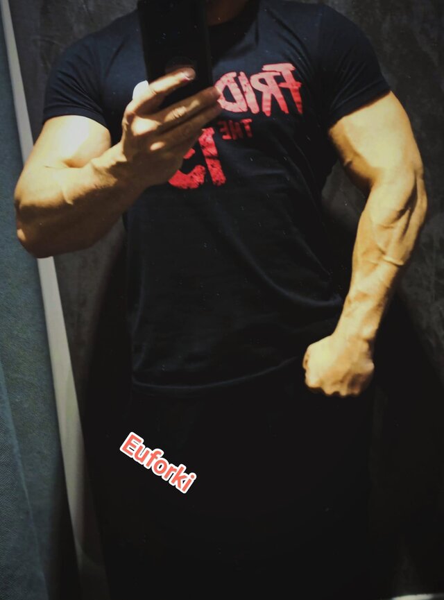 Euforki