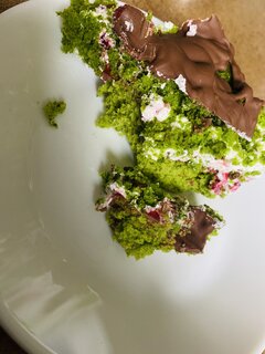 IMG_0790.jpeg