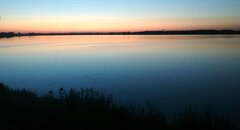 IMG_20260517_121701.jpg