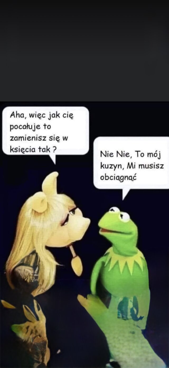 Poszukiwacz_zaginonej_szparki
